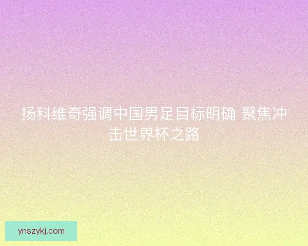 扬科维奇强调中国男足目标明确 聚焦冲击世界杯之路